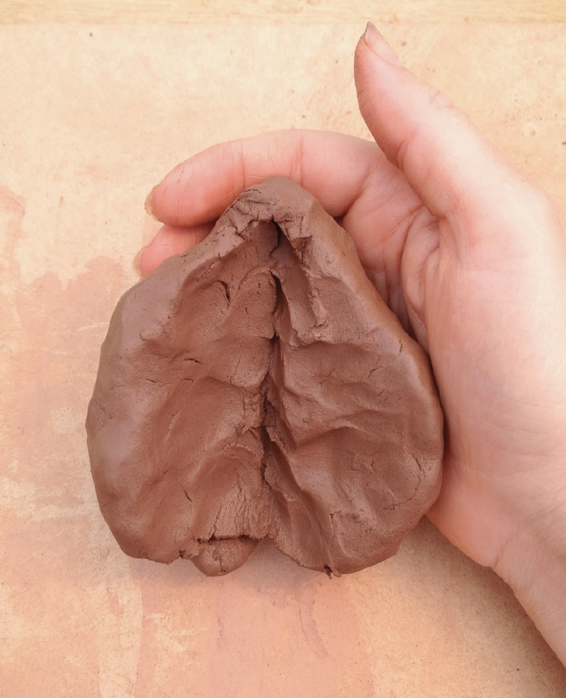 Photograph of a hand holding a piece of wet red clay shaped as a heart representing holding and safety